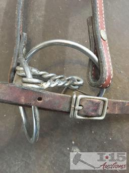 2 Headstalls with Bits