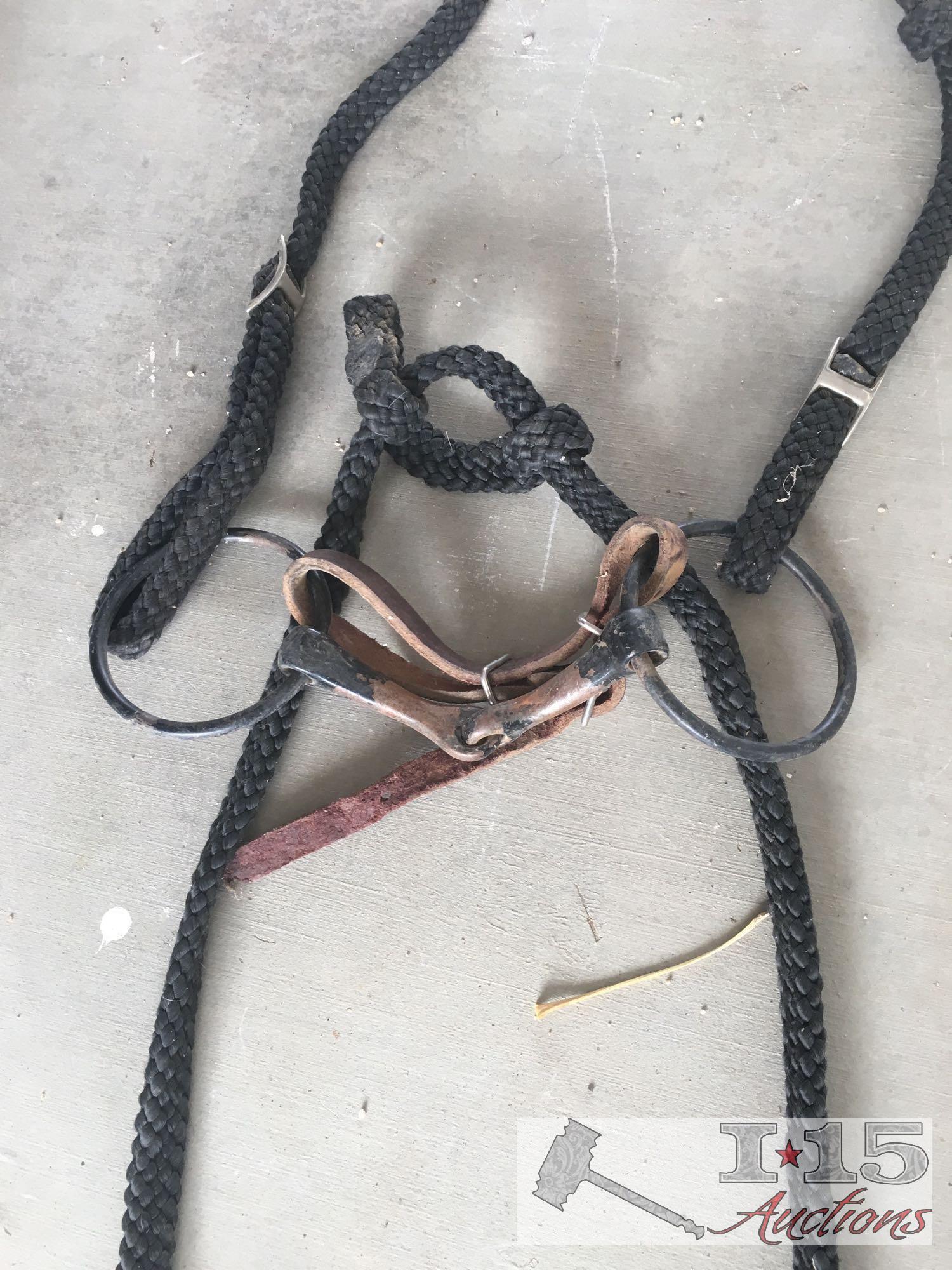 Great Lot with a collection of Bits and a headstall..