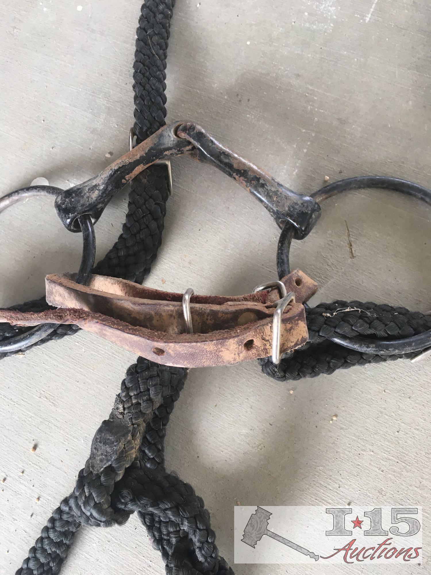 Great Lot with a collection of Bits and a headstall..