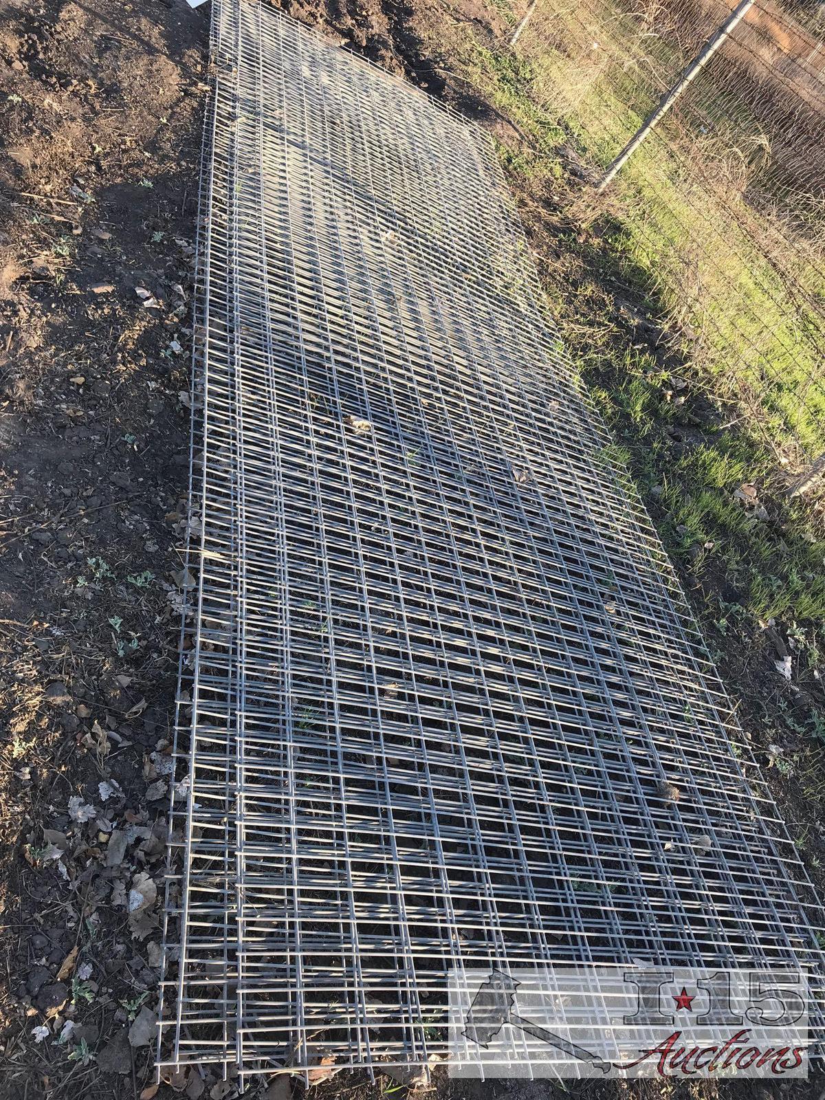 Hog Fencing