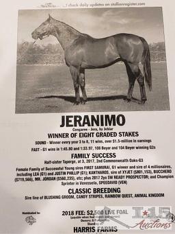 2018 Weanling Colt out of She's Irresistible by Jeranimo