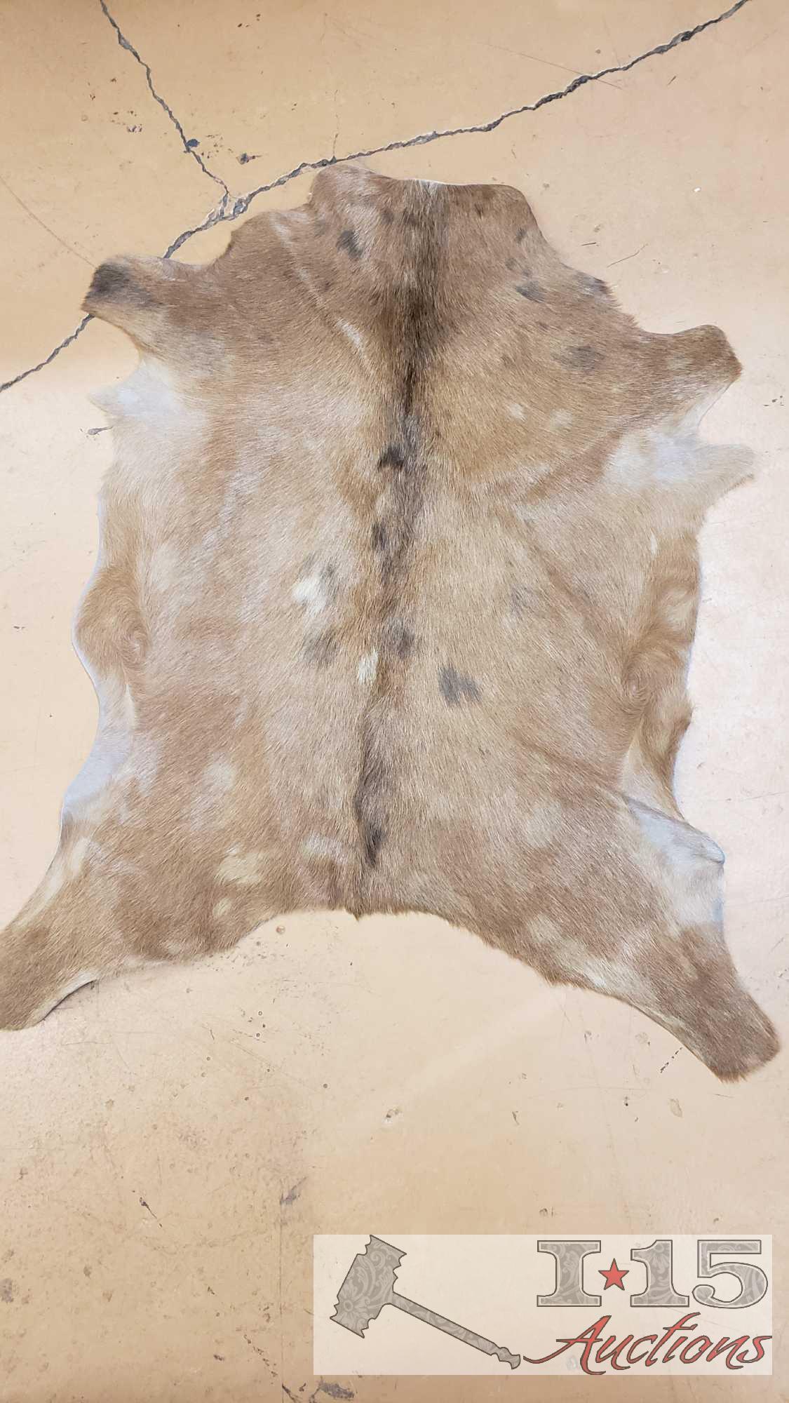 AUTHENTIC GOAT HIDES 3' ft x 3' ft