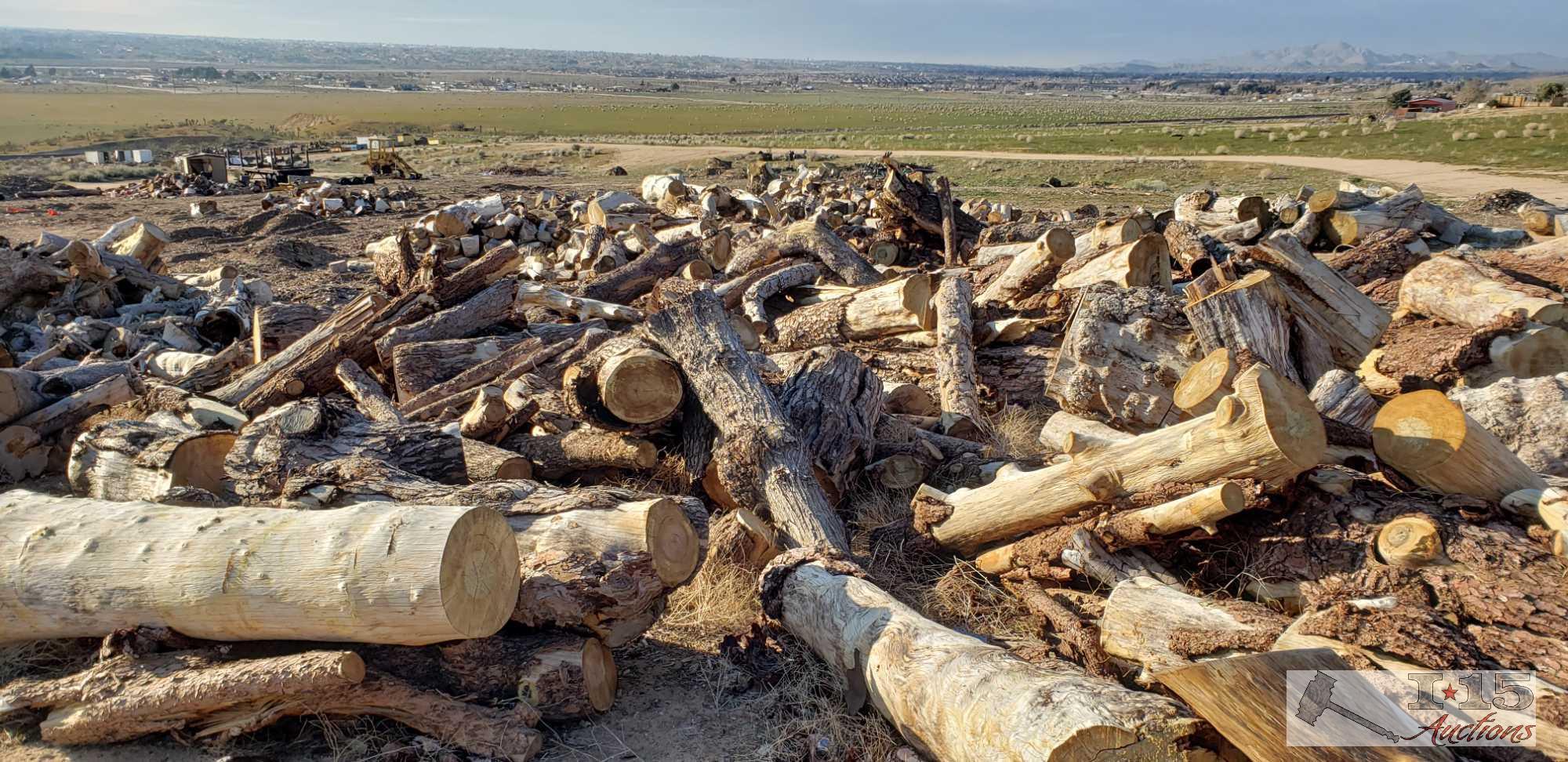 Massive Pile of Not Split Firewood