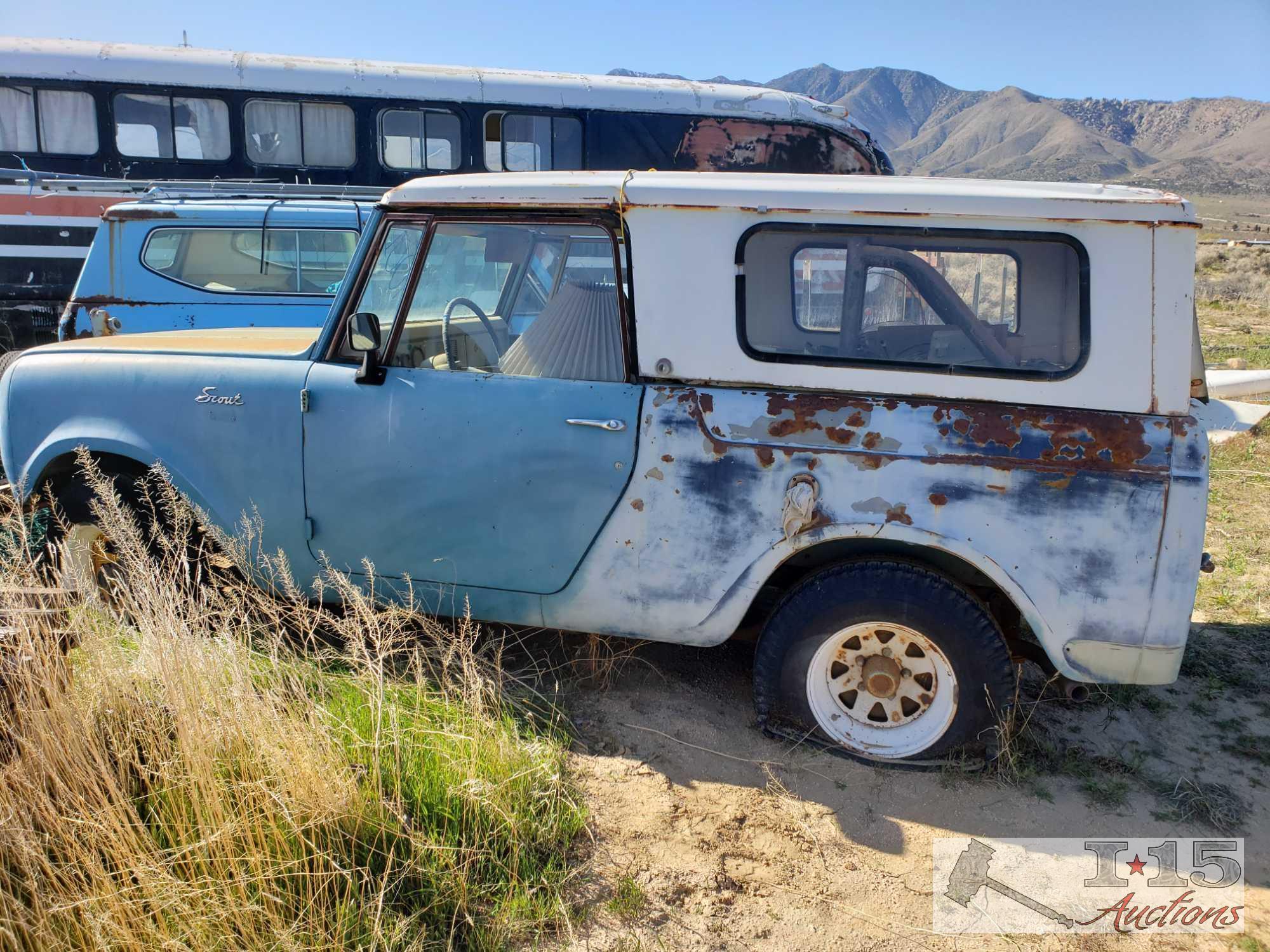 International Scout