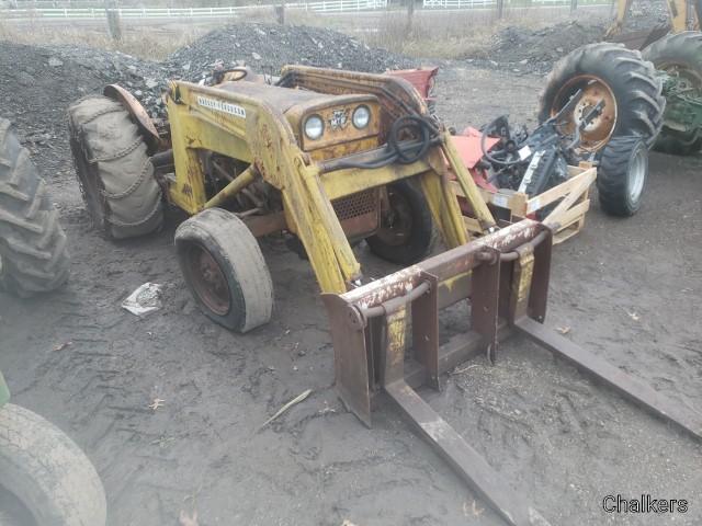 Massey Ferguson 202 Workbull Gas w/Ldr