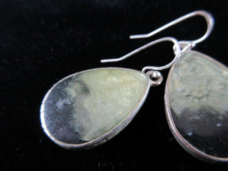 Earrings: Sterling Silver Abalone