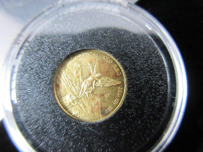 2004 .999 Fine Gold Coin