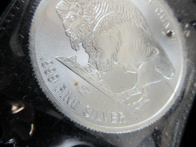 1oz Fine Silver Coin