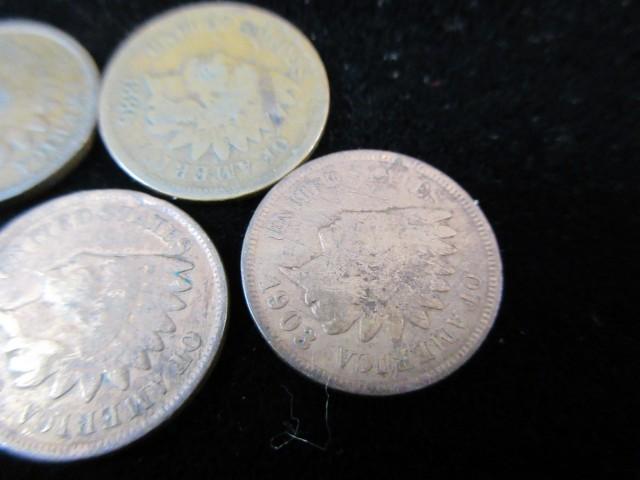 Lot of Six Indian Head Pennies As Shown