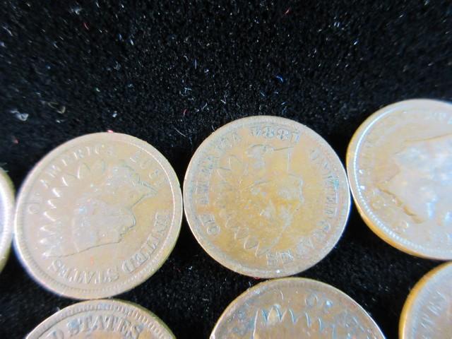 Lot of Ten Indian Head Pennies