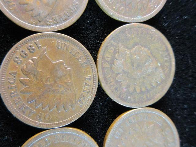 Lot of Ten Indian Head Pennies