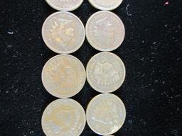 Lot of Ten Indian Head Pennies