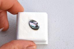 1.86 Carat Very Nice Abalone Shell