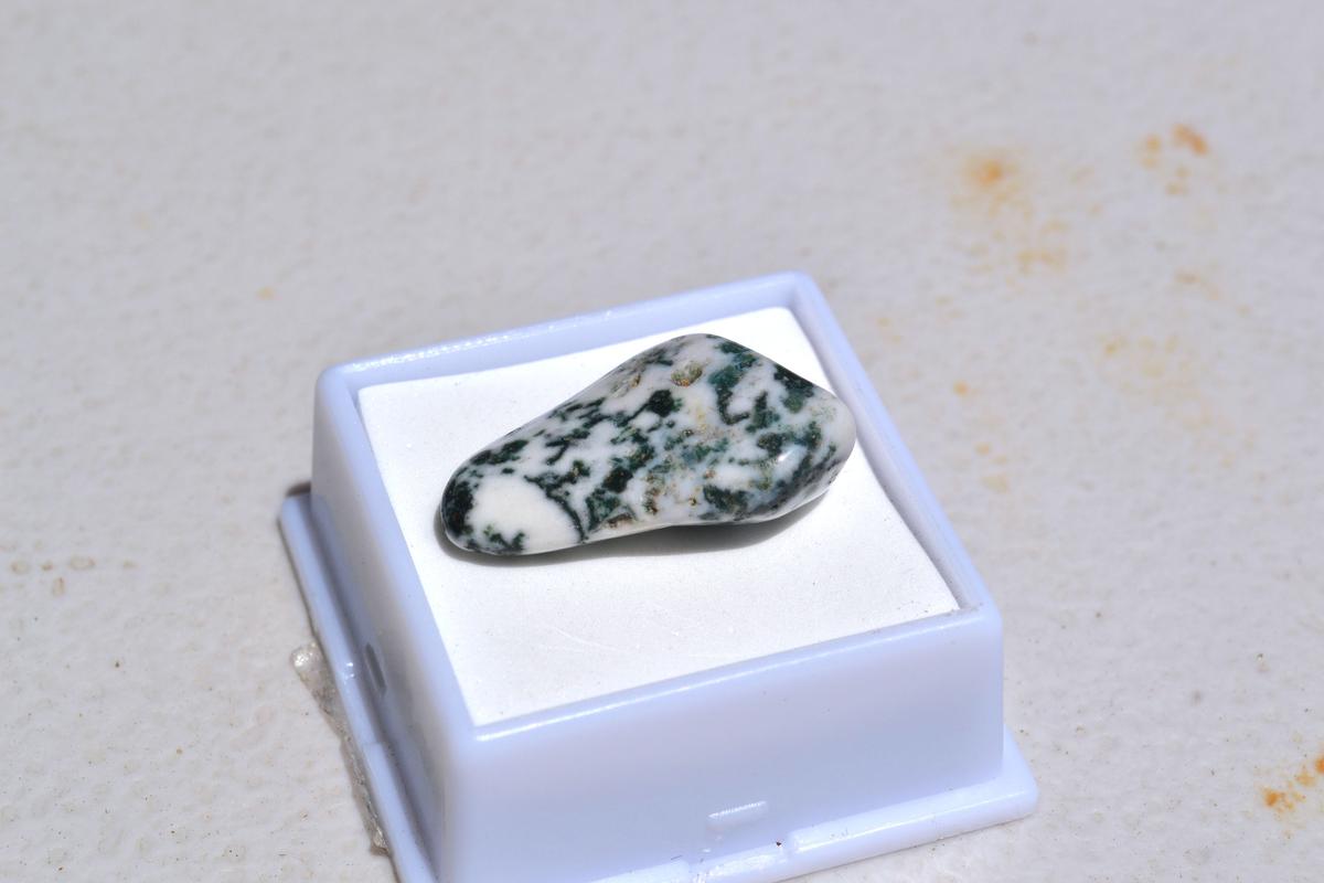 20.60 Carat Fine Dendritic Agate