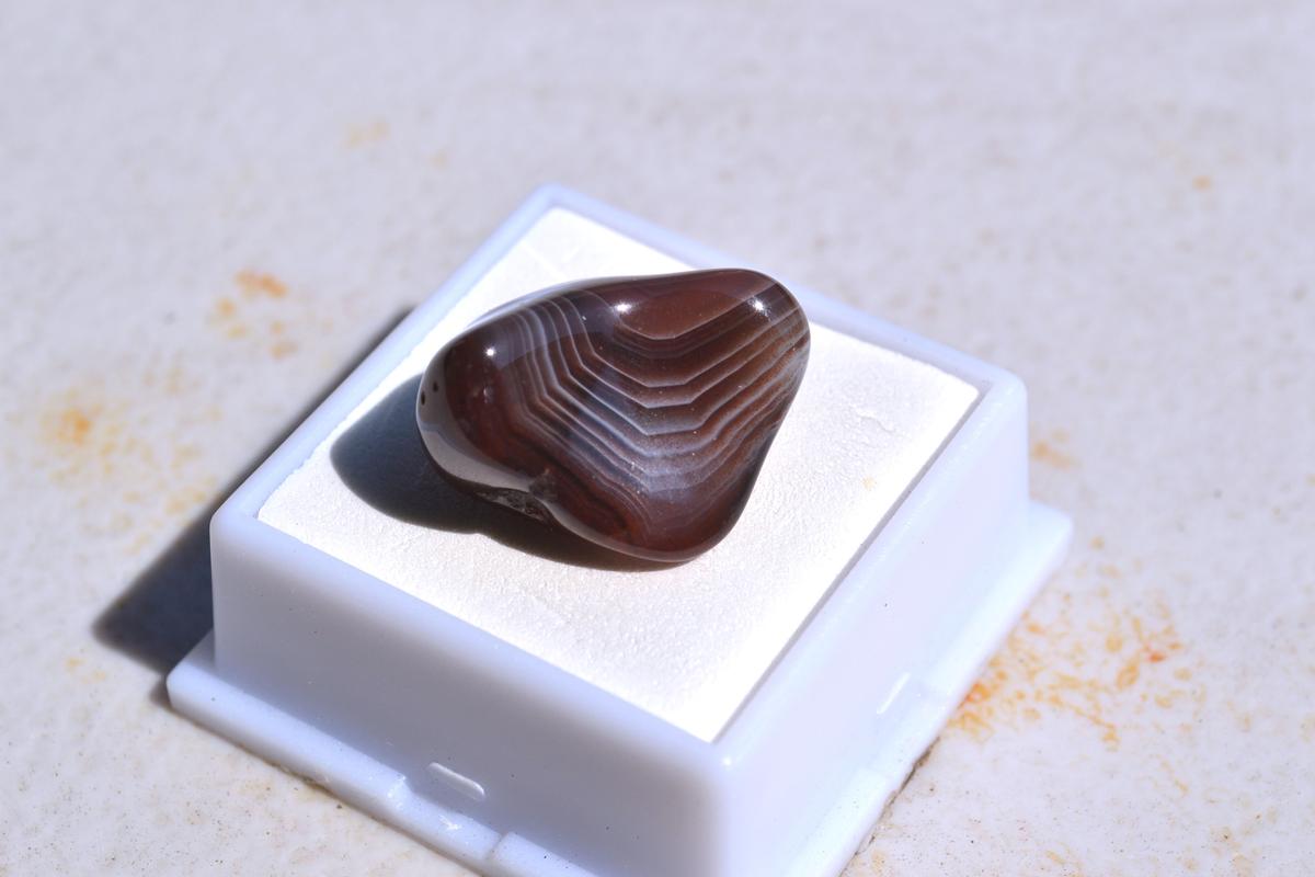 28.35 Carat Fantastic Botswana Banded Agate