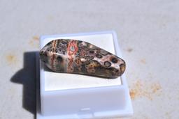 31.52 Carat Great Leopardskin Jasper