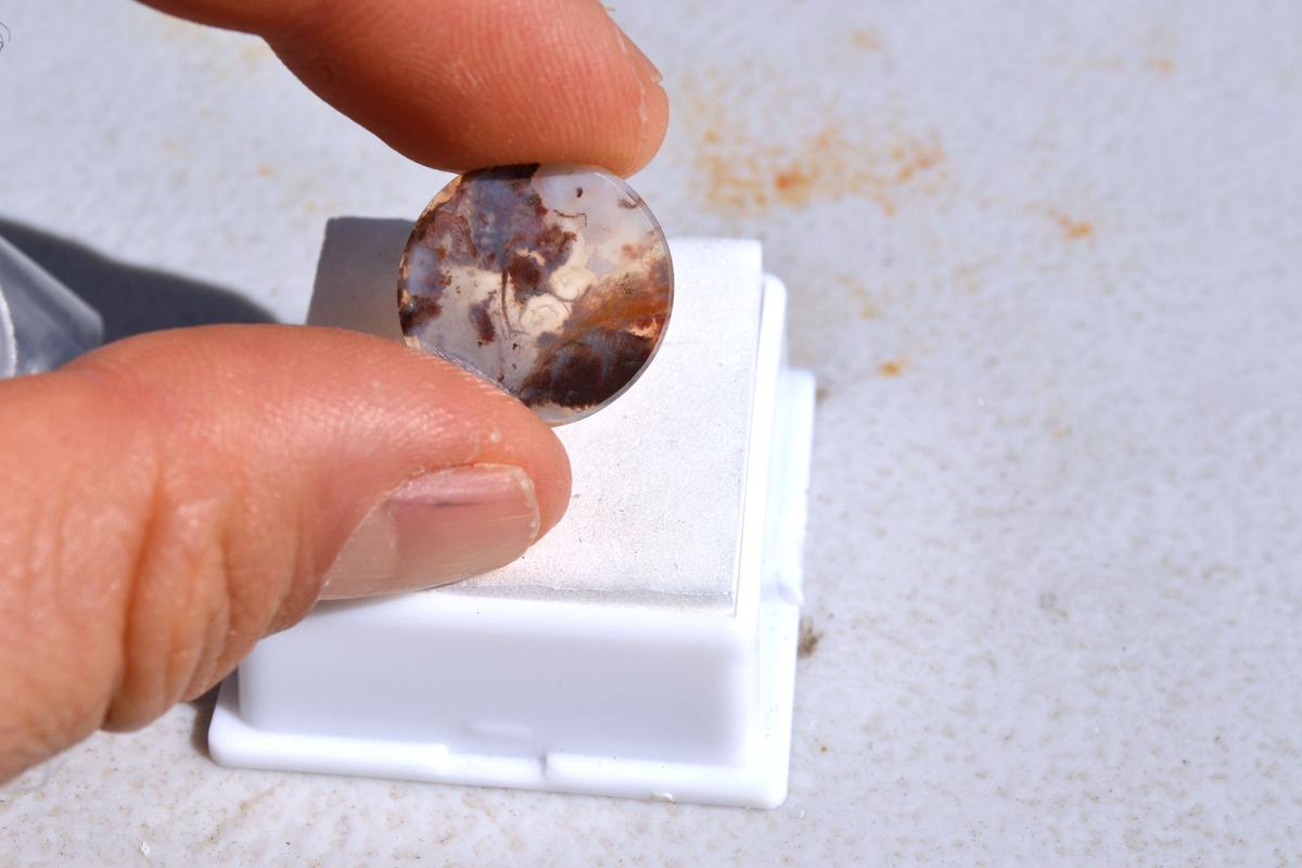 5.66 Carat Round Dendritic Agate