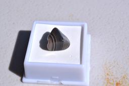 12.60 Carat Fine Botswana Banded Agate