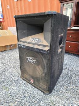 Peavey Sound Reinforcement Speaker