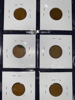 (8) Wheat Pennies