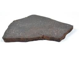 Tulia (a) H3 Meteorite Slab 59.8 grams Slice