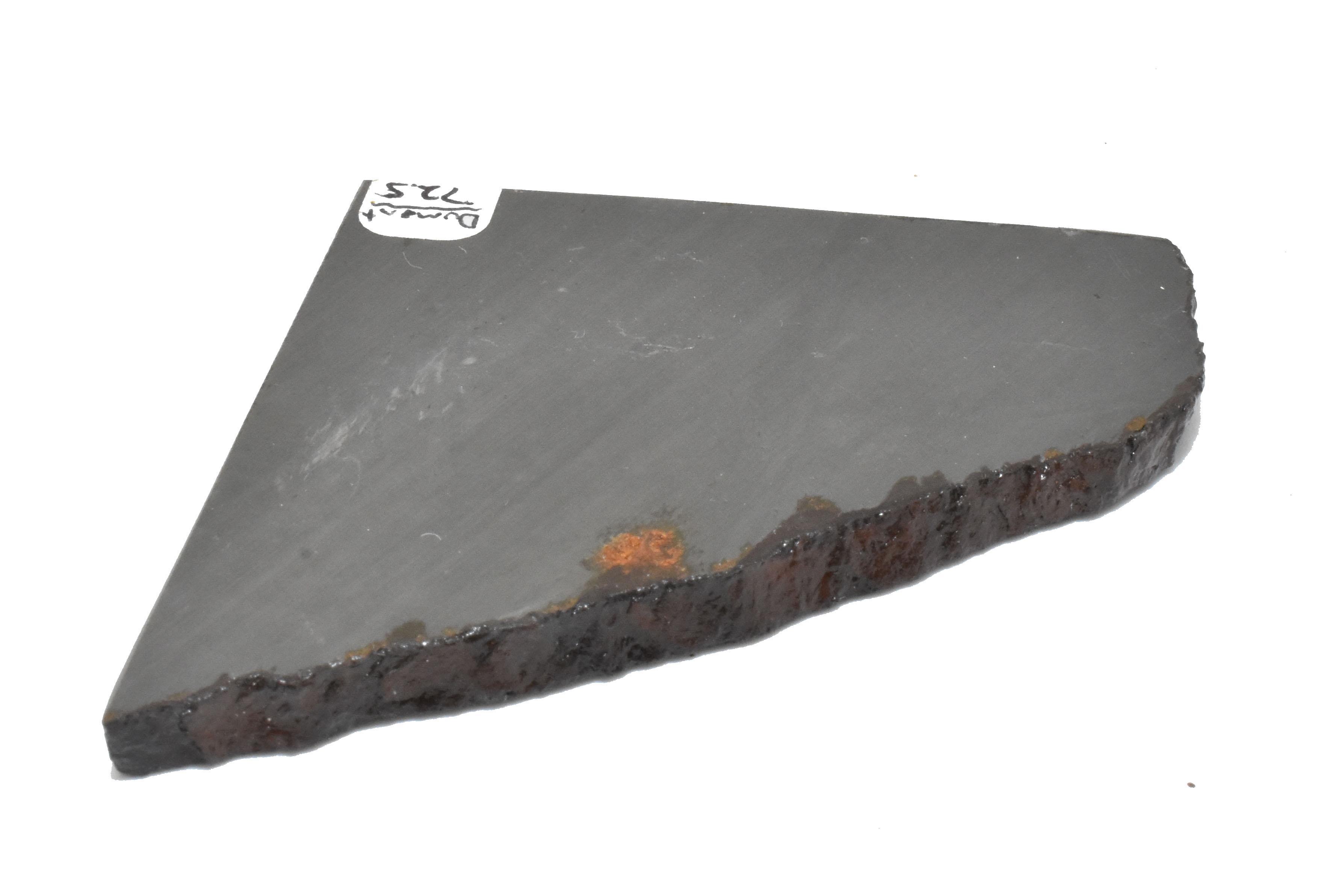 Dumont Iron IVB Meteorite Slice 72.5 grams Slab