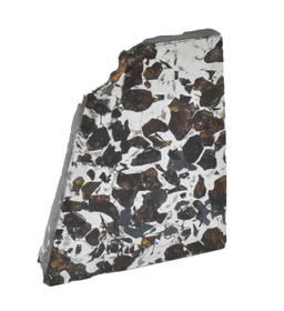 Seymchan Pallasite Meteorite Slice 86 grams