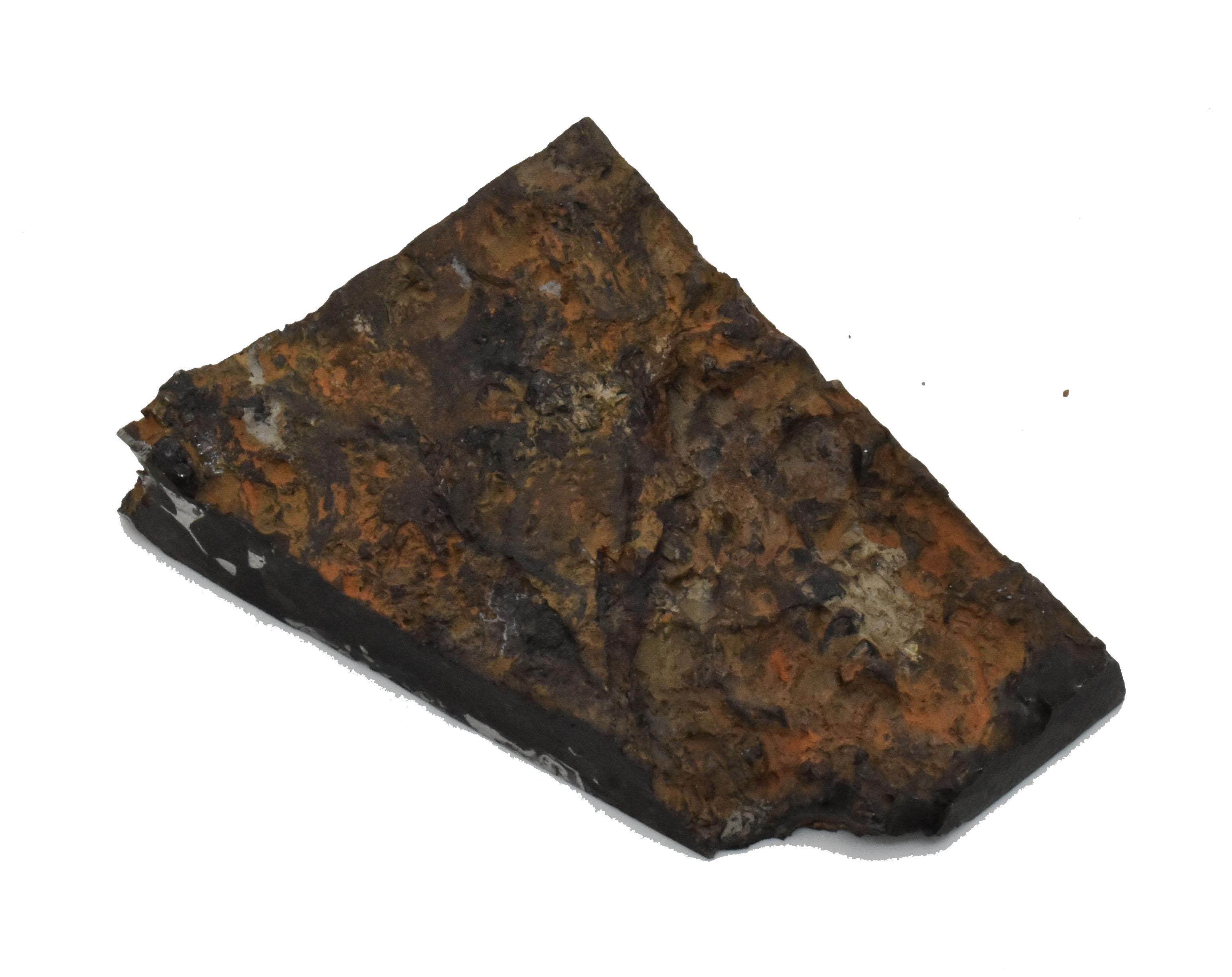 Seymchan Pallasite Meteorite Slice 86 grams