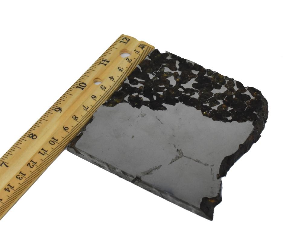 Seymchan Pallasite Meteorite Slice 387 grams