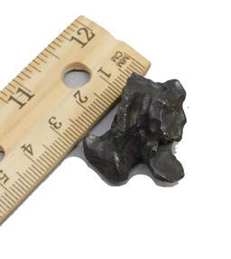 Sikhote Alin Iron IIAB Meteorite 33 grams