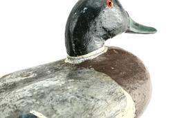 Mallard Drake Duck Decoy