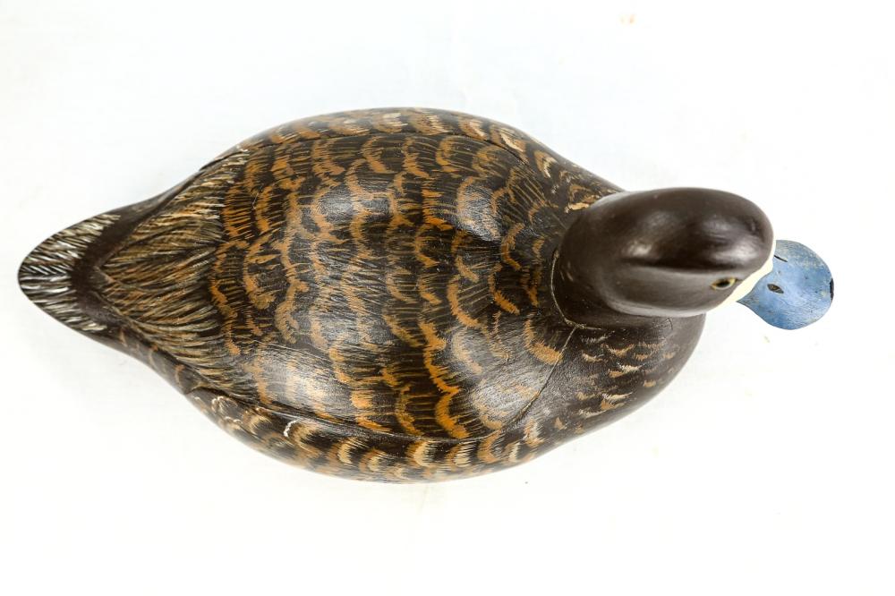 "Lesser Scaup" Duck Decoy