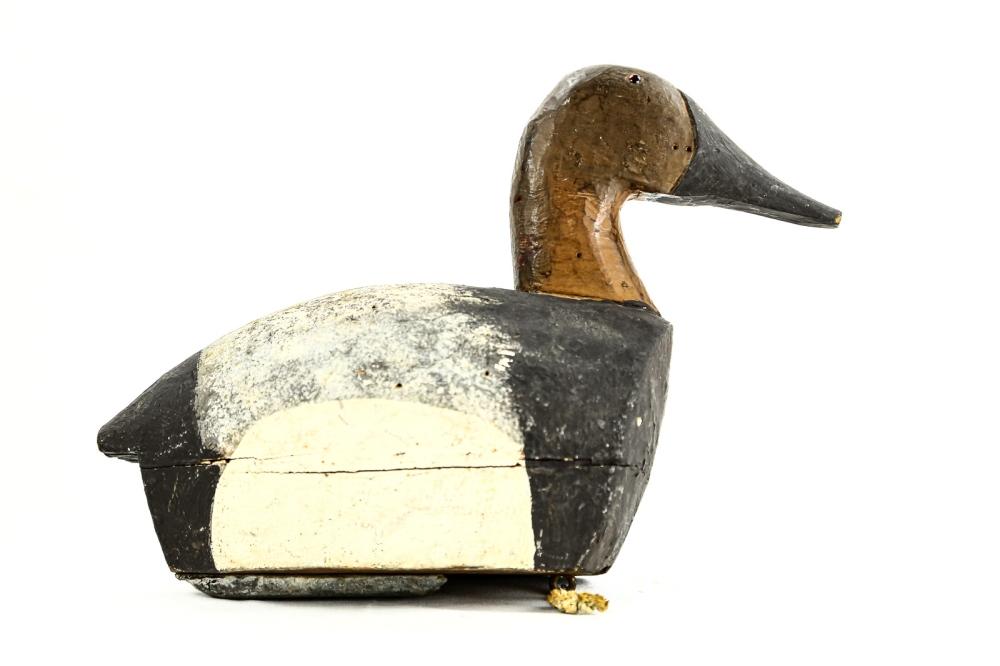 Canvasback Drake Duck Decoy