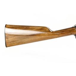 Rossi .22 Pump Rifle