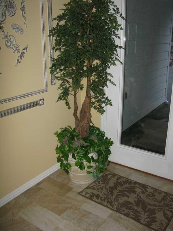 6 FOOT PLANT