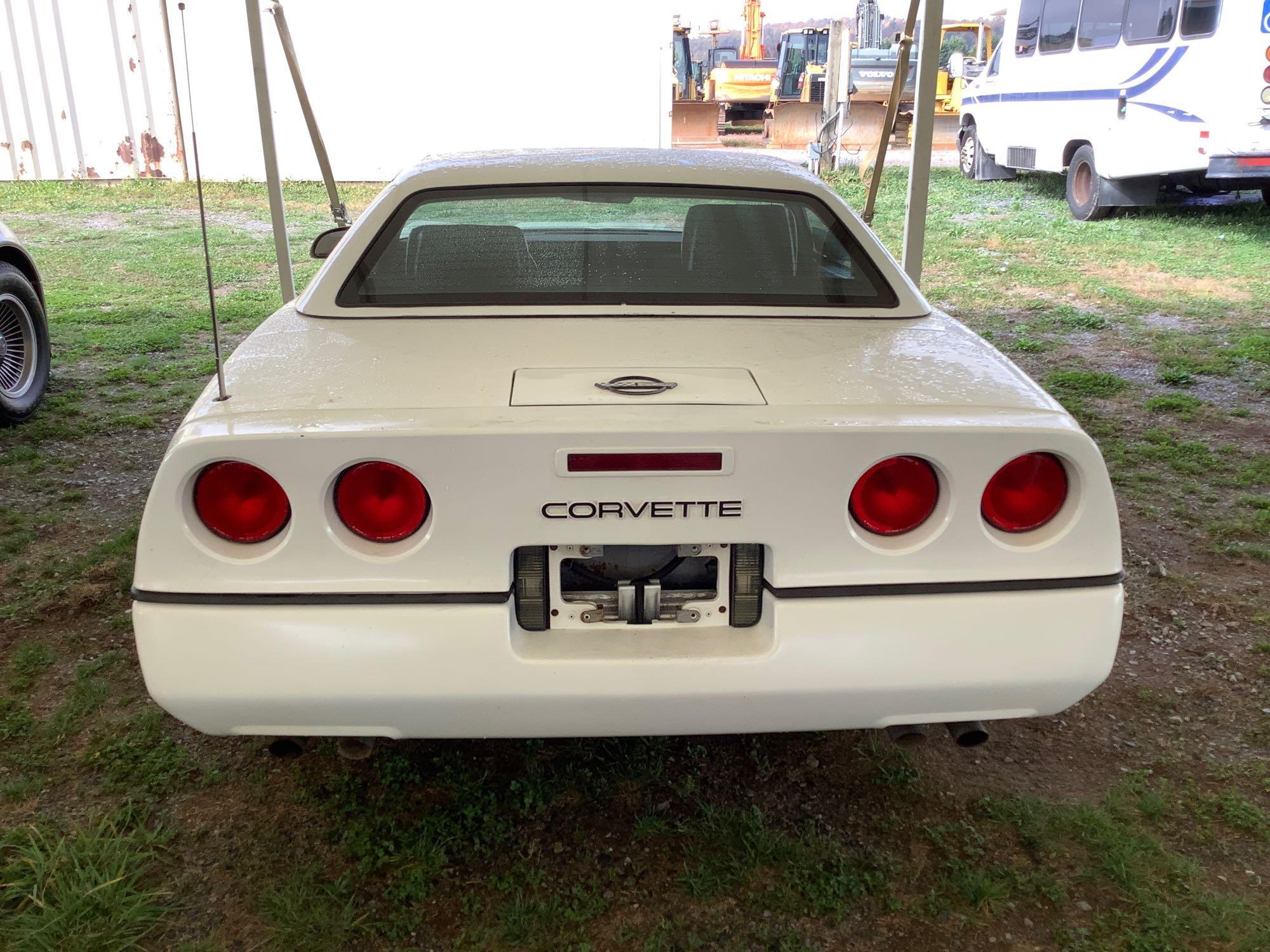 1989 Corvette