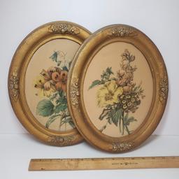 Vintage Oval Botanical Art in Gold Gesso Frames Set of 2