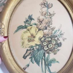 Vintage Oval Botanical Art in Gold Gesso Frames Set of 2