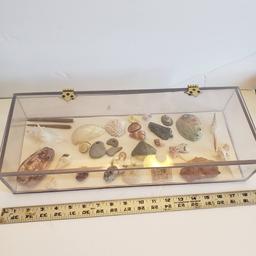 Plexiglass Display Case Full of Unique Finds From Archaeologist Collection