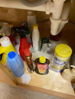 Lot of Various Cleaning Supplies