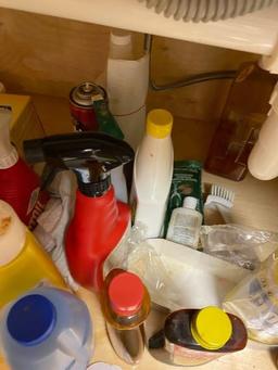 Lot of Various Cleaning Supplies