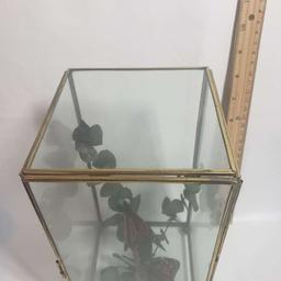 Glass Display Case with Butterflies