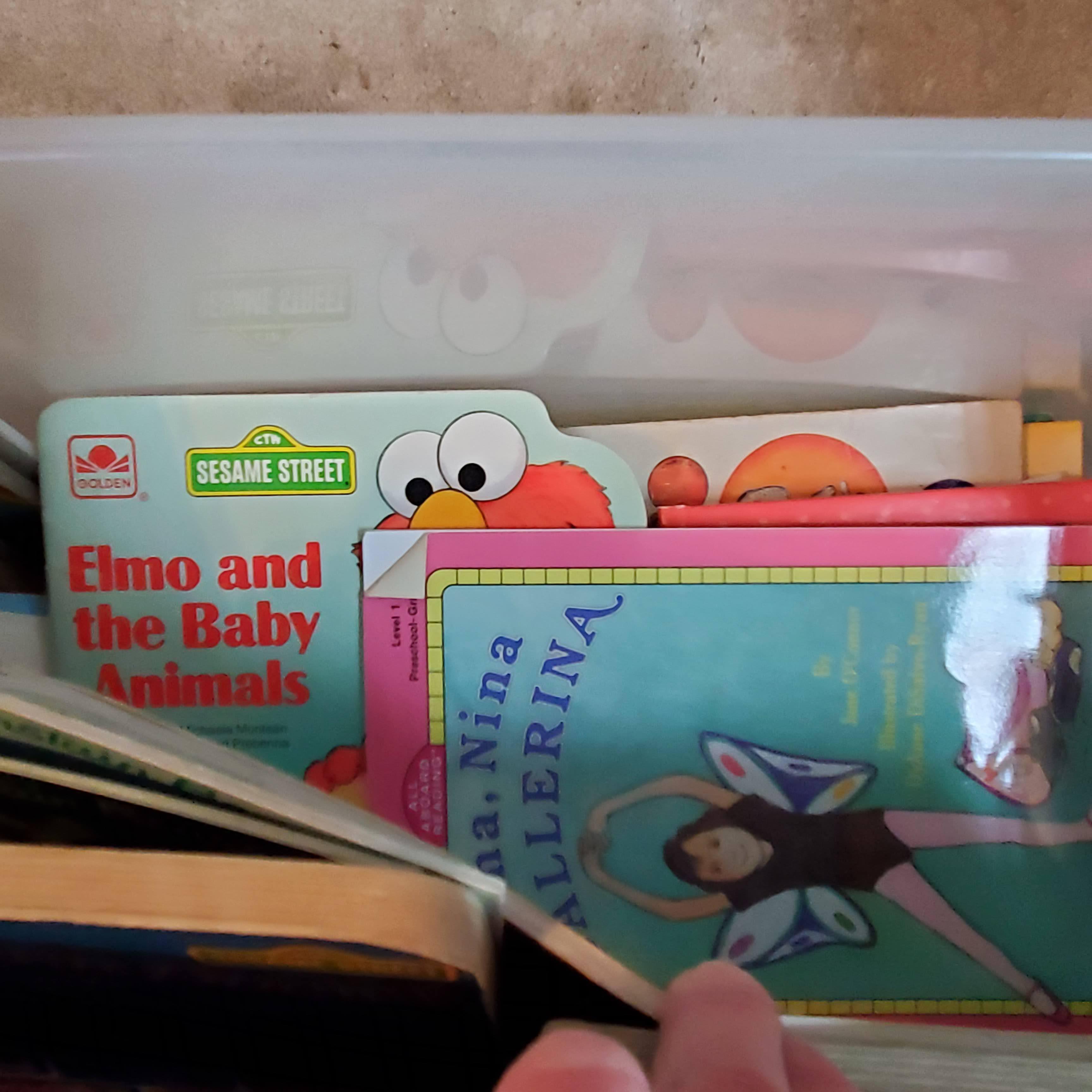 Tote of Children’s Story Books and Activity Books