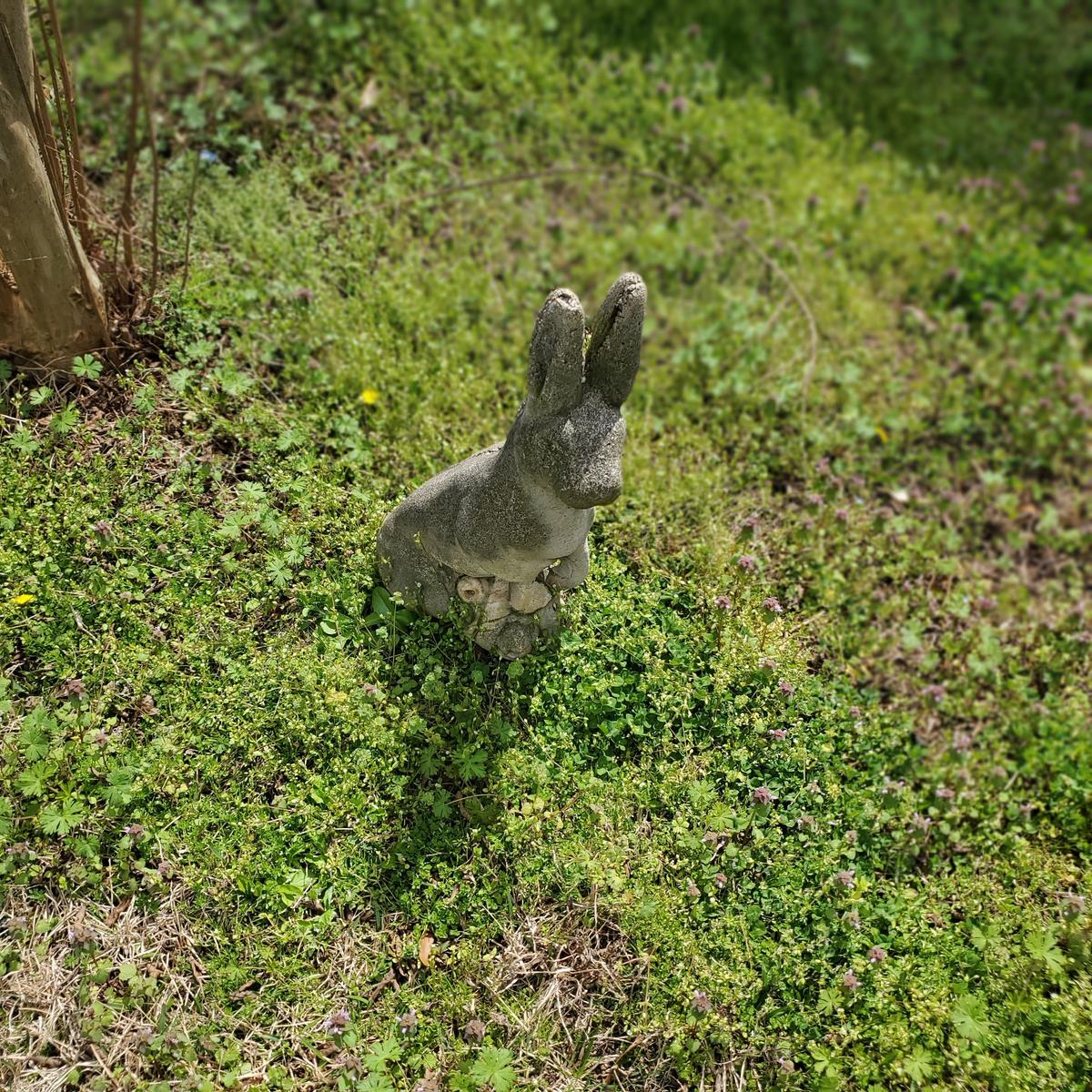 Rabbit Statue