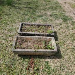 2 Concrete Planters