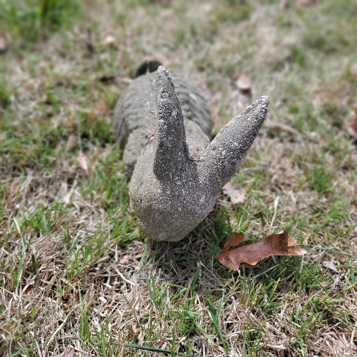 Rabbit Statue