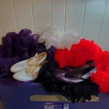 Lot of Women’s Dance Slips, Size Medium and Dance Shoes Size 8