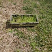 Concrete Planter