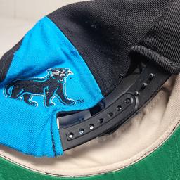 Lot of 2 Carolina Panthers Hats