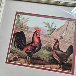 Framed Chicken and Rooster Print